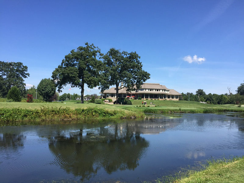 Trees near pond on golf course