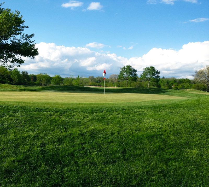 Broadmoor Links
